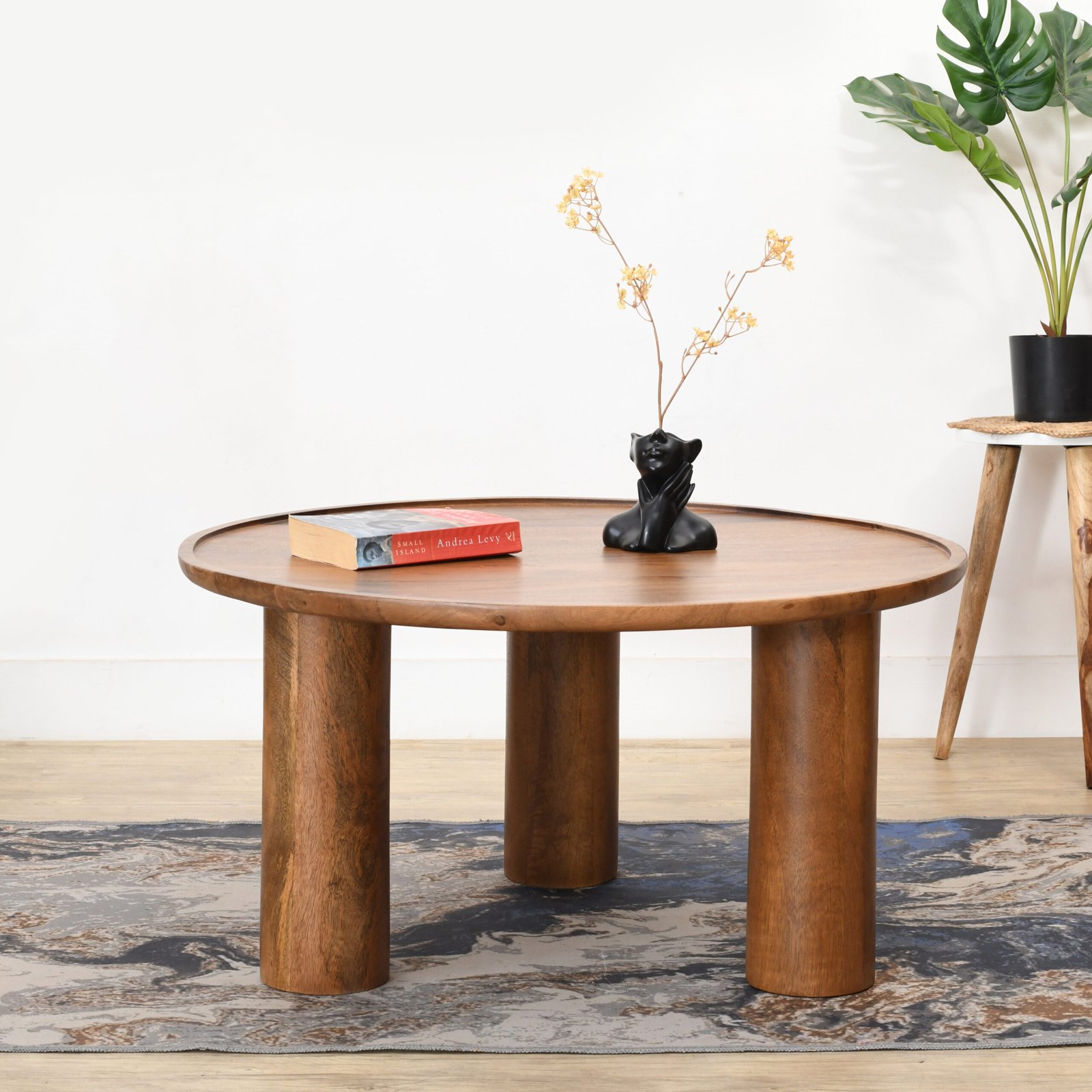 Lama Premium Solid Wood Coffee Table Teak Finish